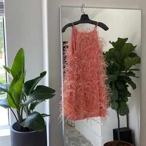 Cult Gaia Feather Mini Dress